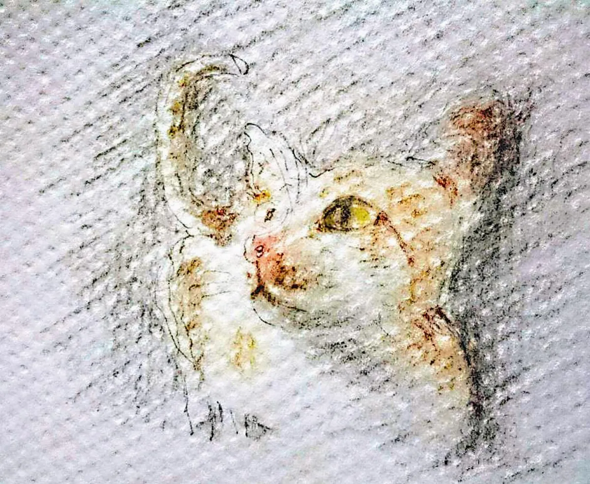 星雲說偈 慈心護生