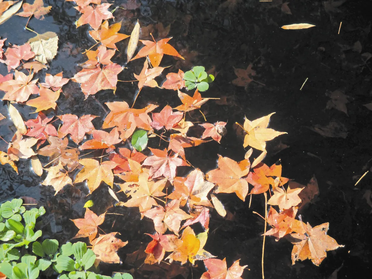 生活快門 靜的力量