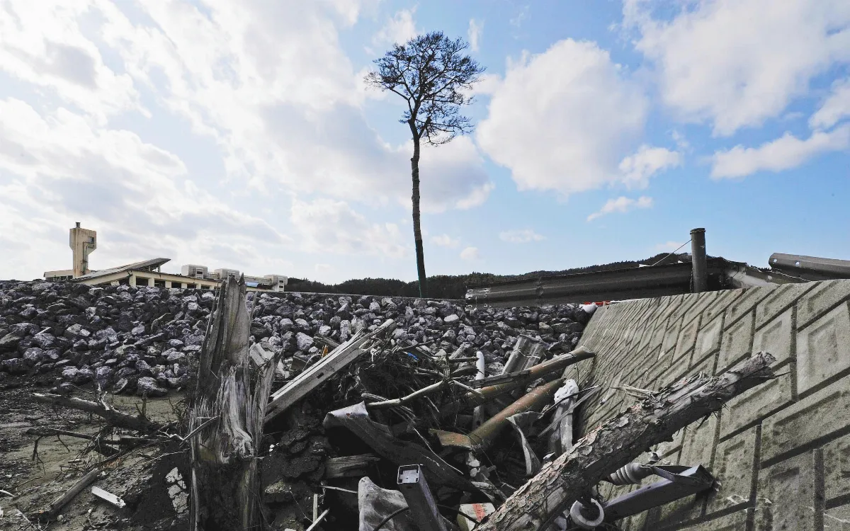 奇蹟松 化作留念鋼筆