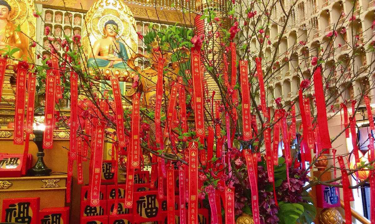 囍 羊羊 北海道場行春