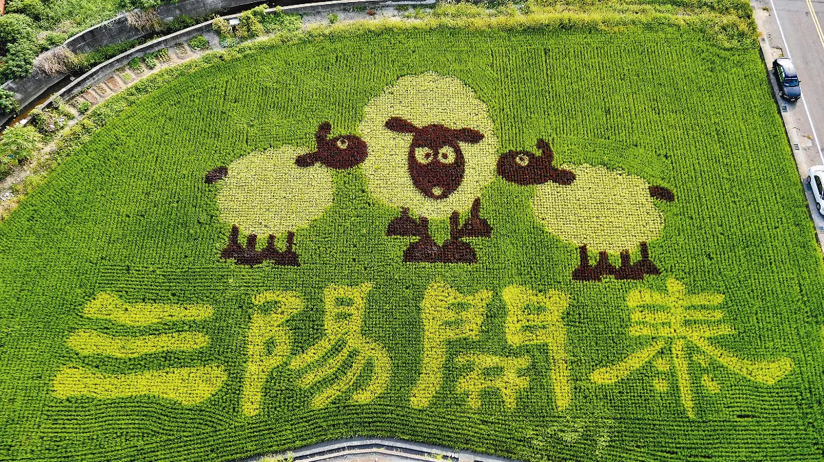 農夫作畫 用秧苗彩繪稻田