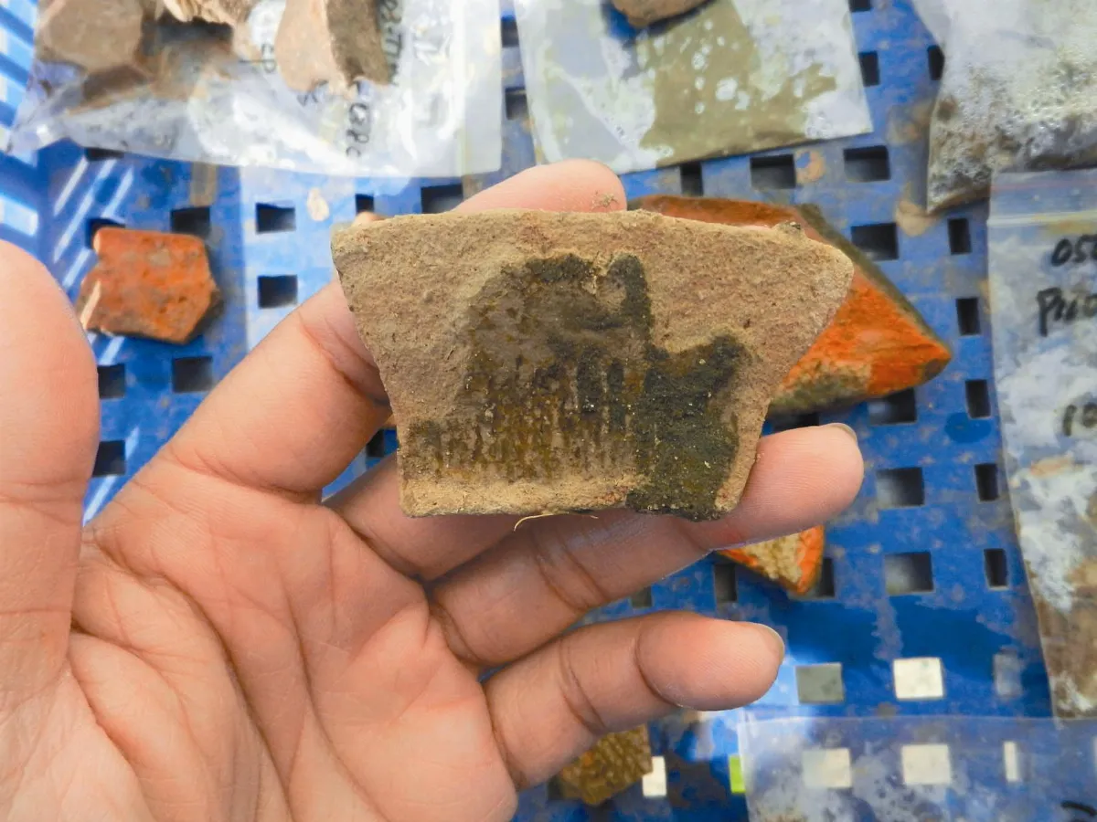 3千年店子窩遺址 繩紋陶器出土
