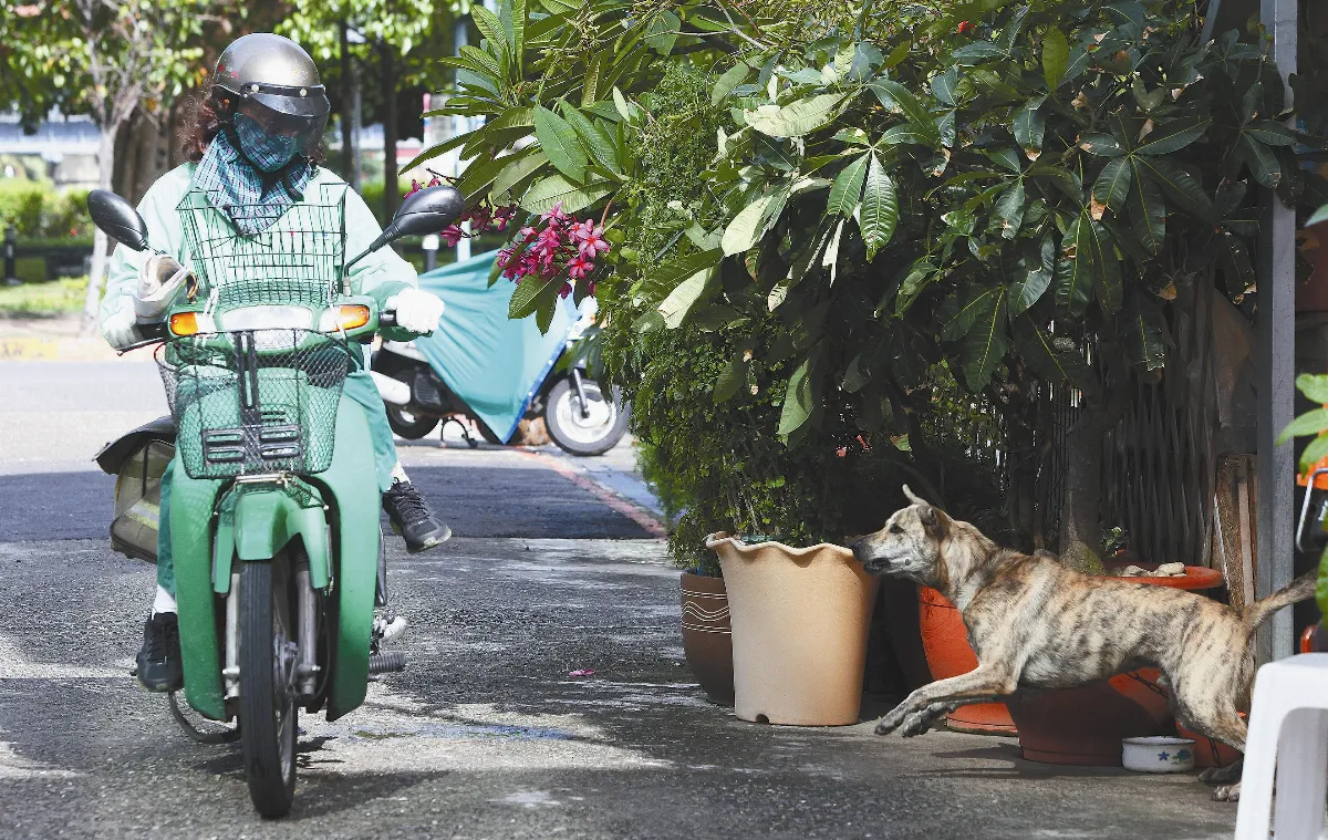 家有惡犬 郵差將不送信到家