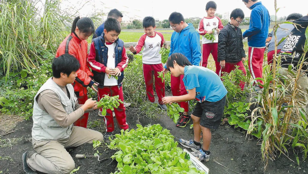 台中西岐國小 達人教導種植 學生做辣椒醬