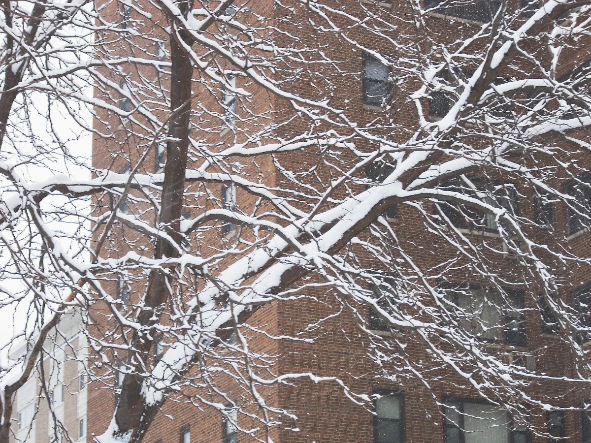 城市周記 湖木公寓