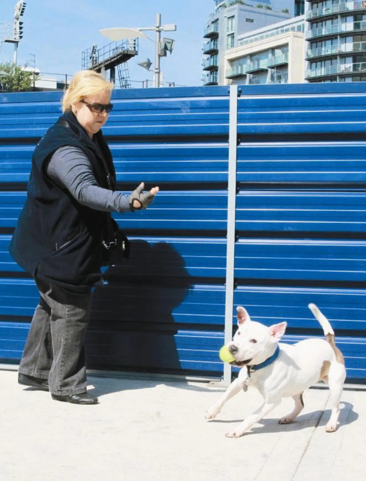 訓犬 善用賞與罰