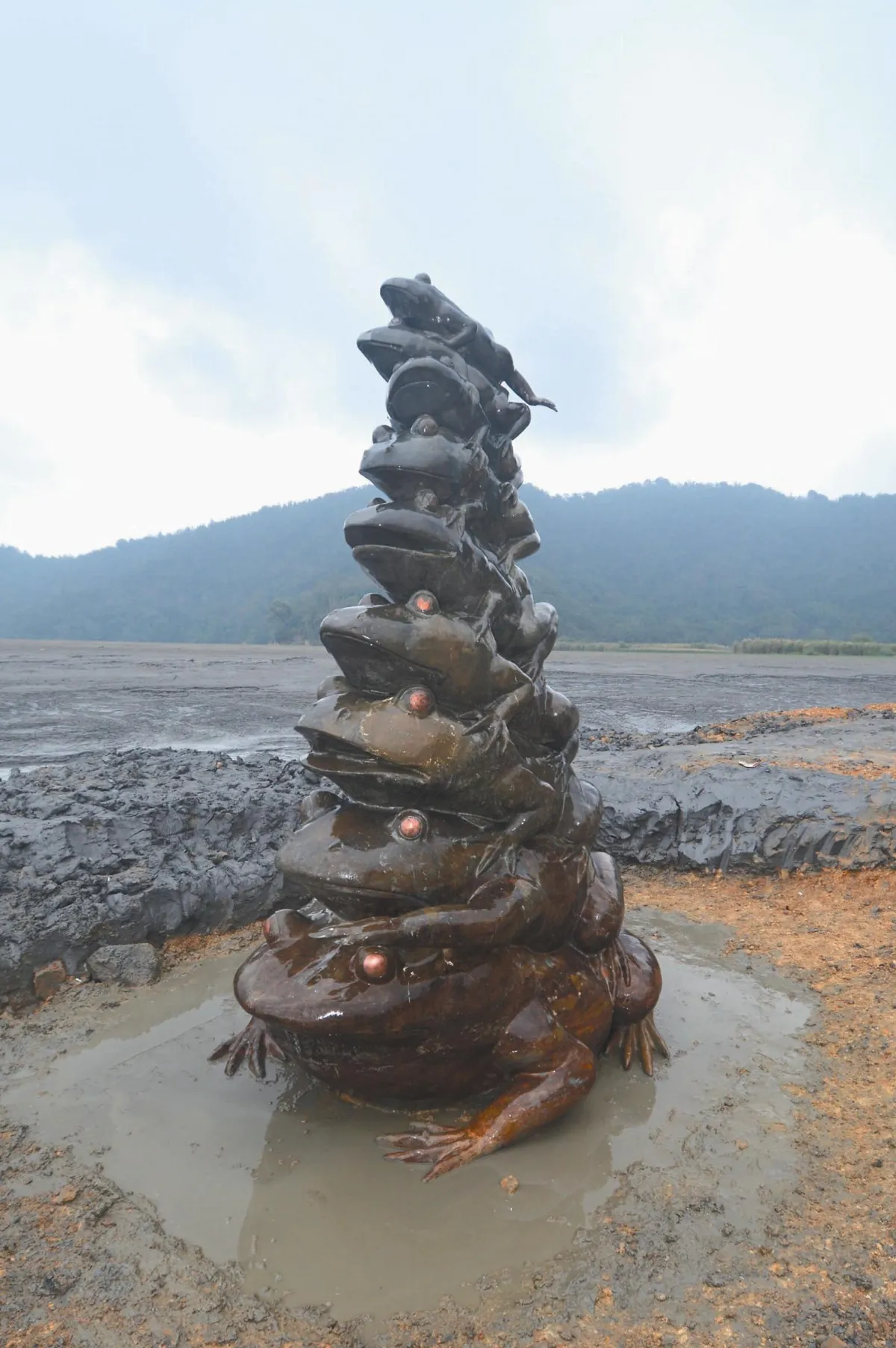 九蛙疊像洗澎澎 重見亮麗