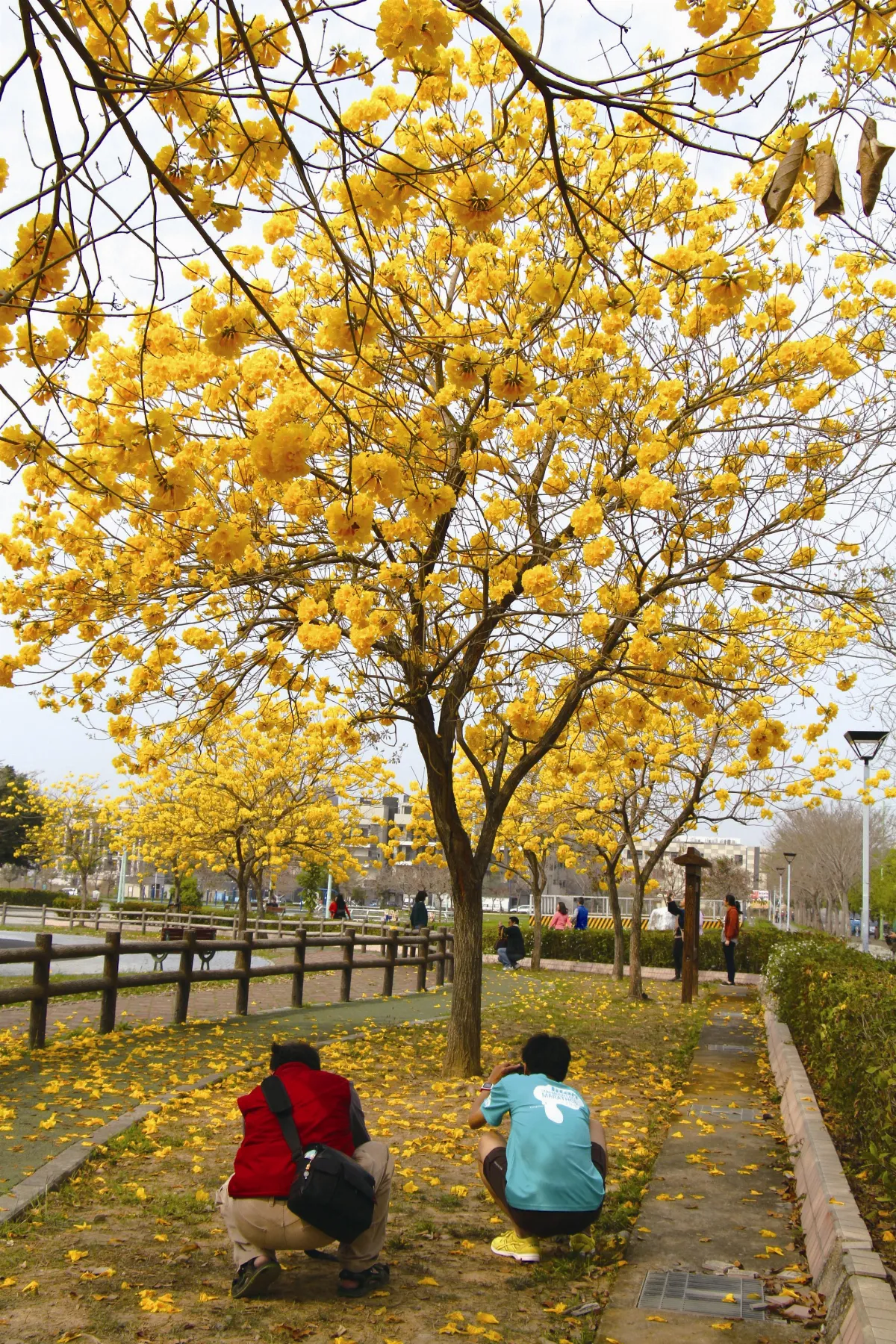 生活快門 一起入鏡