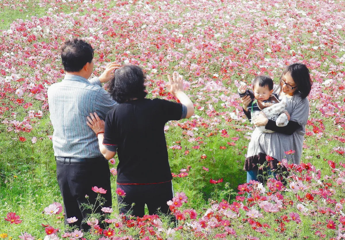 婆媳默契 話中有話的弦外之音