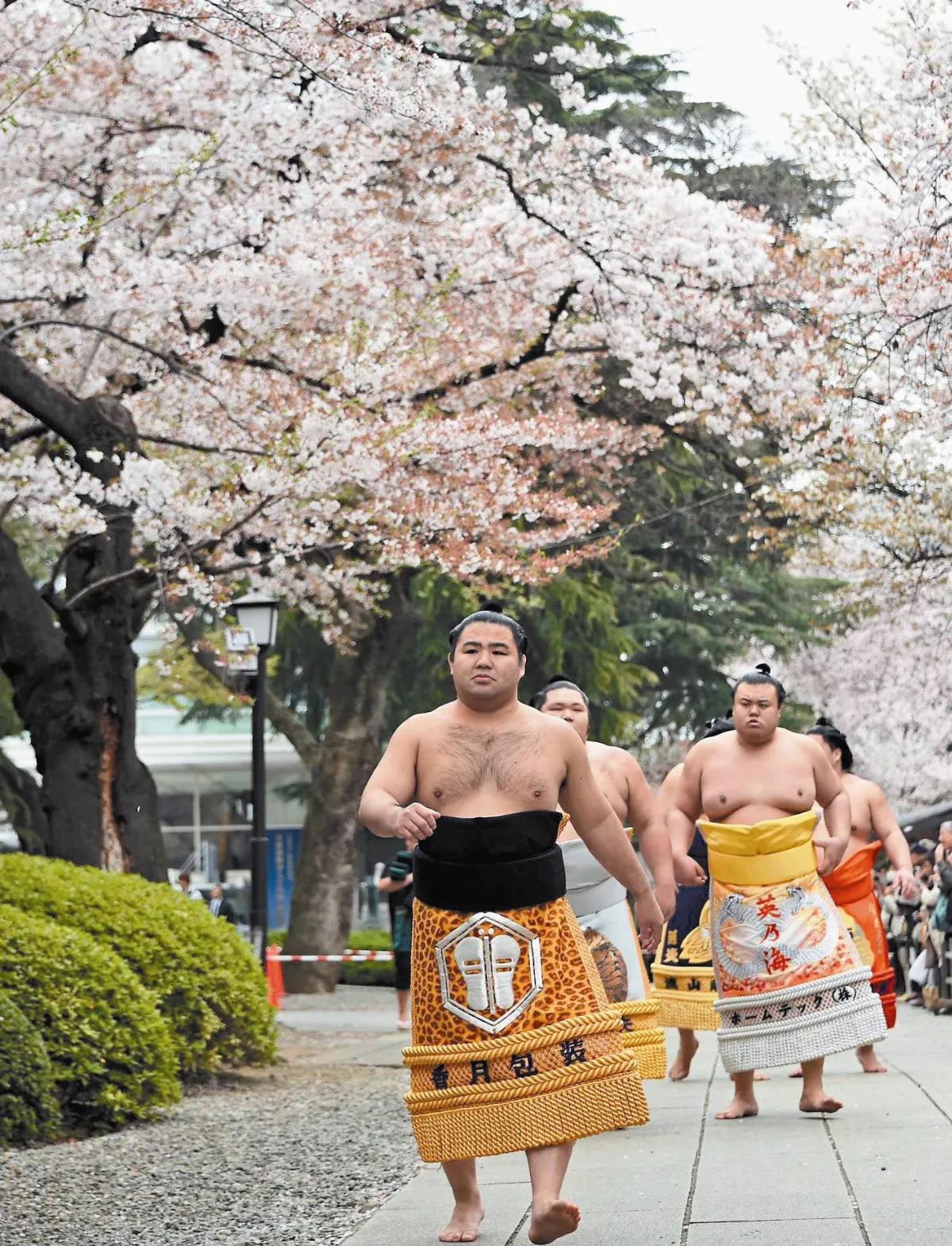 勇士出巡