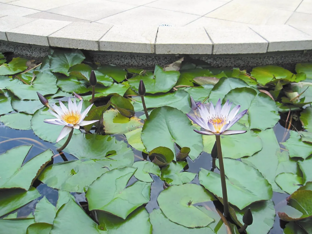 台北 公園小旅行