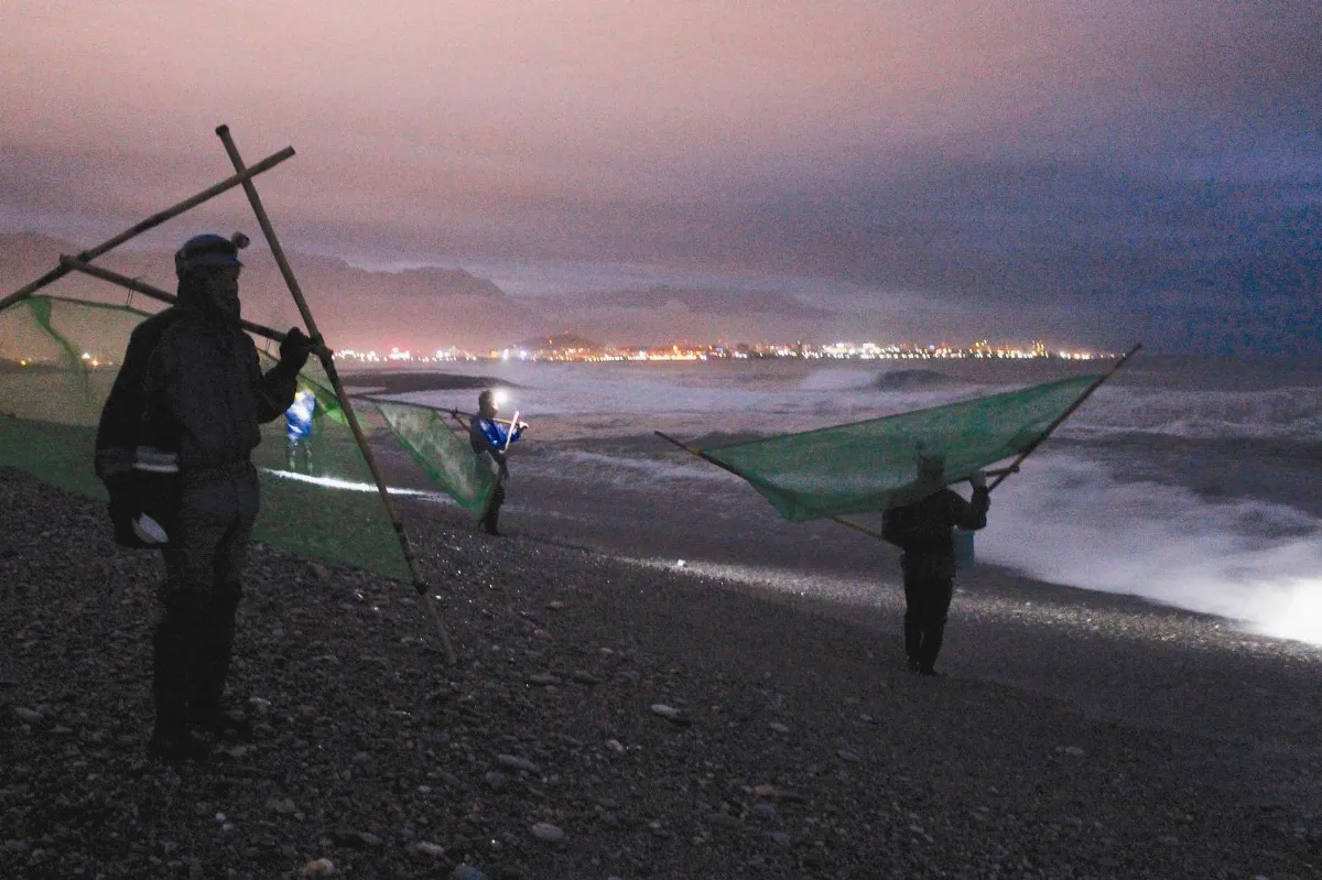 鰻 河川成長 海中孵卵