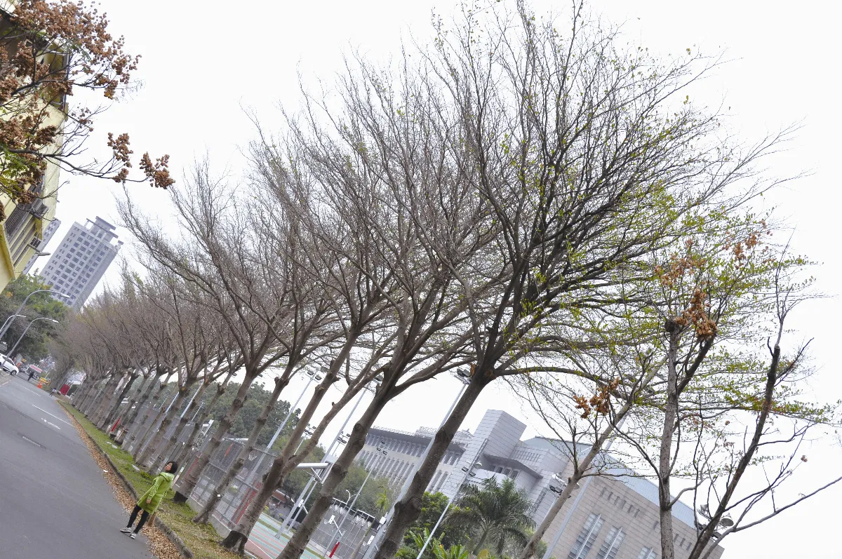 生活快門 回首與不捨