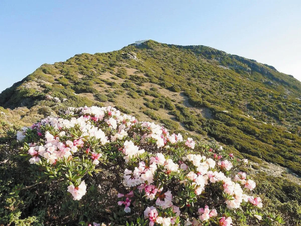玉山-10.1度 72年來4月最低溫
