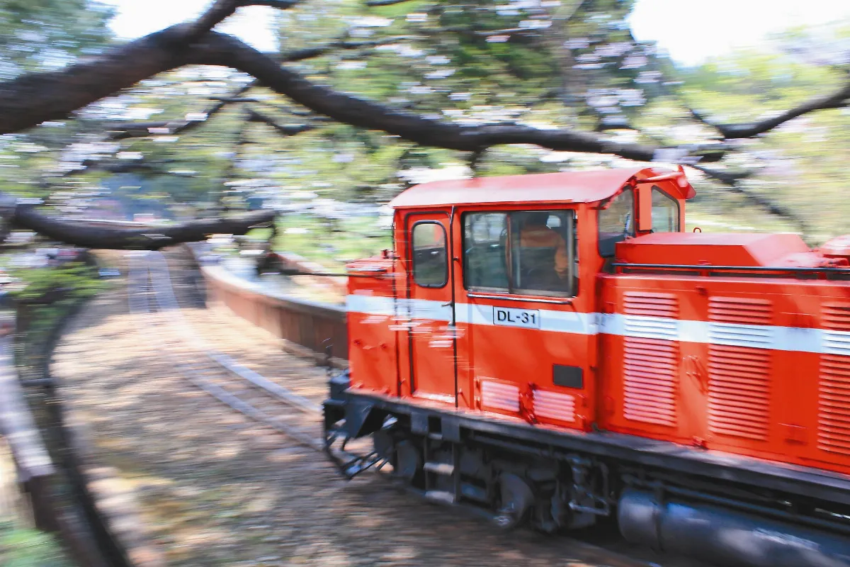 香林國小校慶 童心協力 拍攝阿里山之美