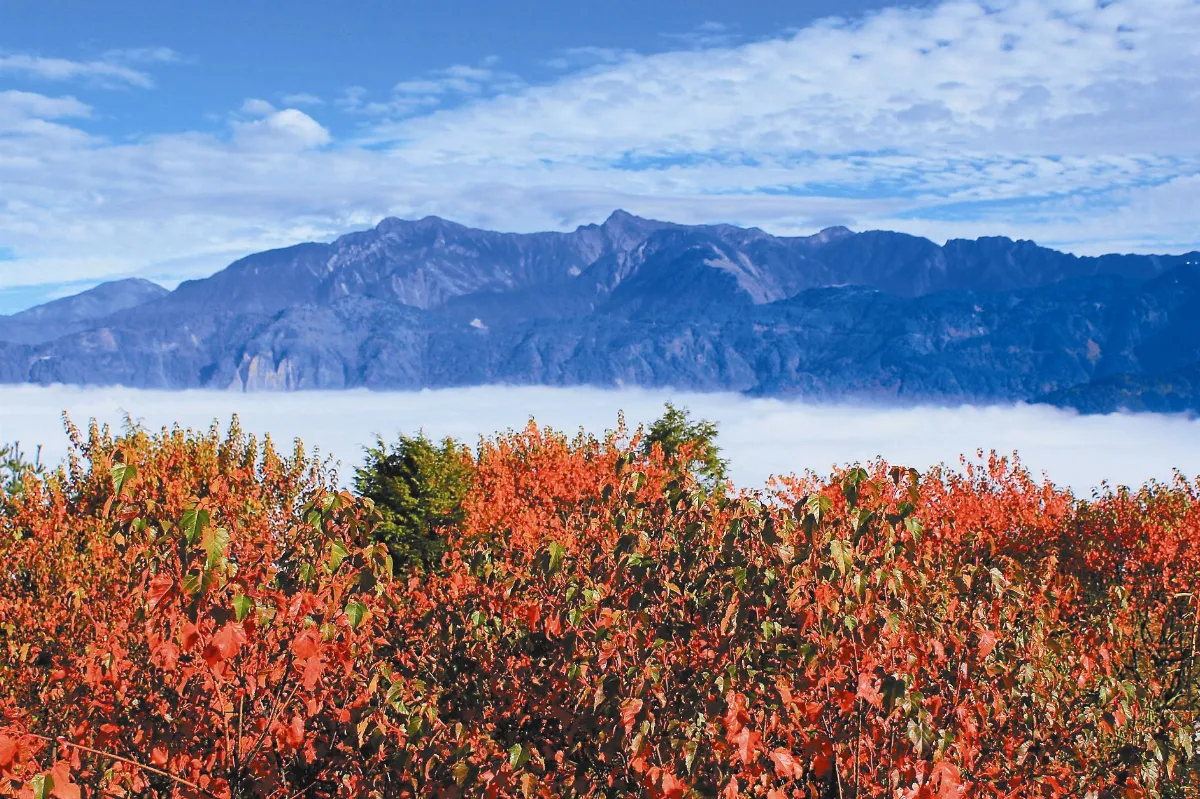 香林國小校慶 童心協力 拍攝阿里山之美