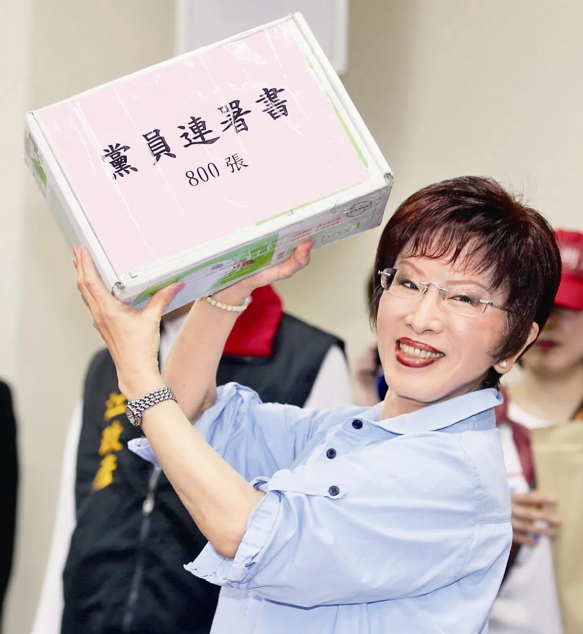 藍總統提名起跑 自喻房腳石 洪秀柱搶頭香