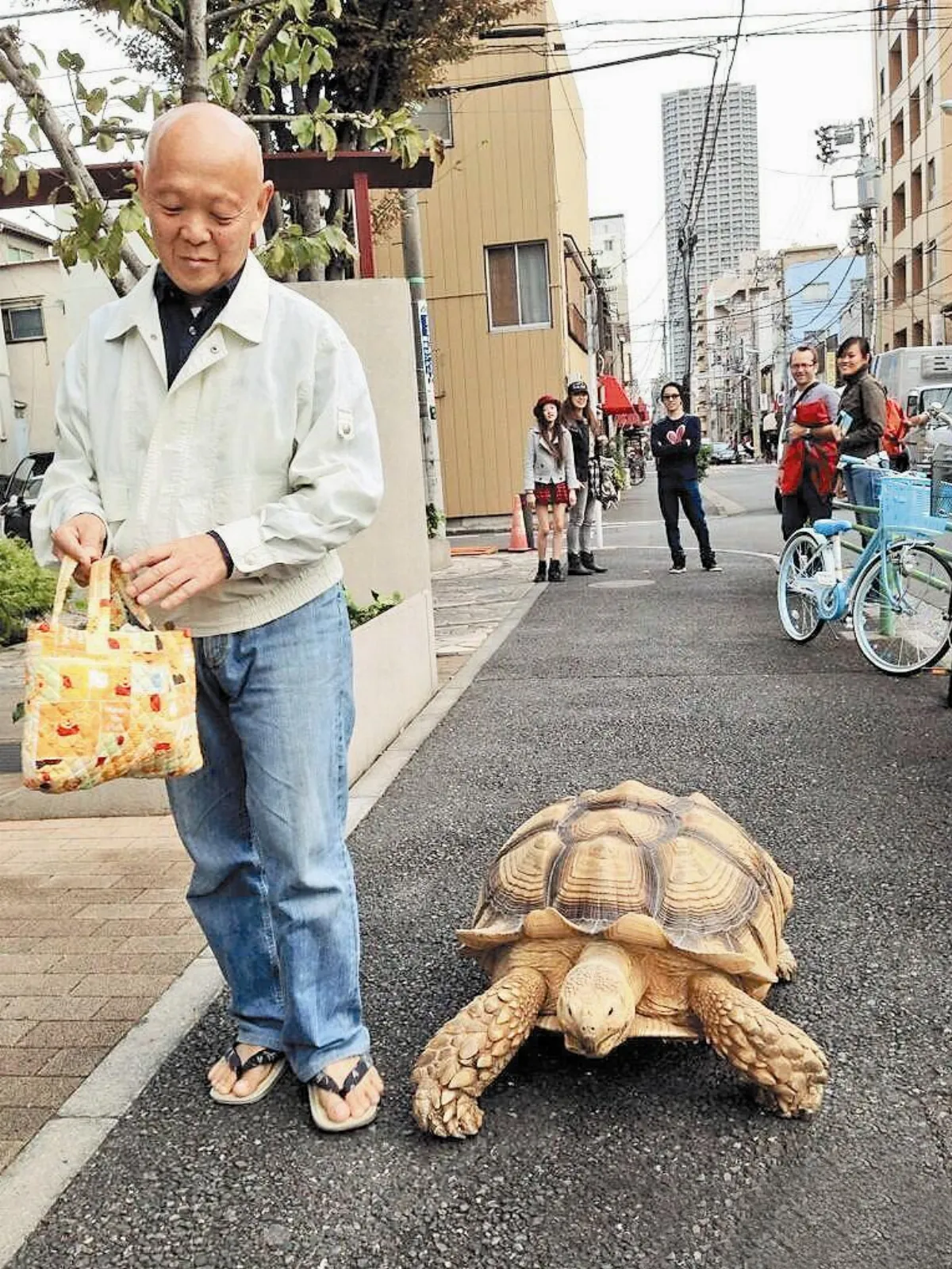 日本爺偕龜孫女散步東京