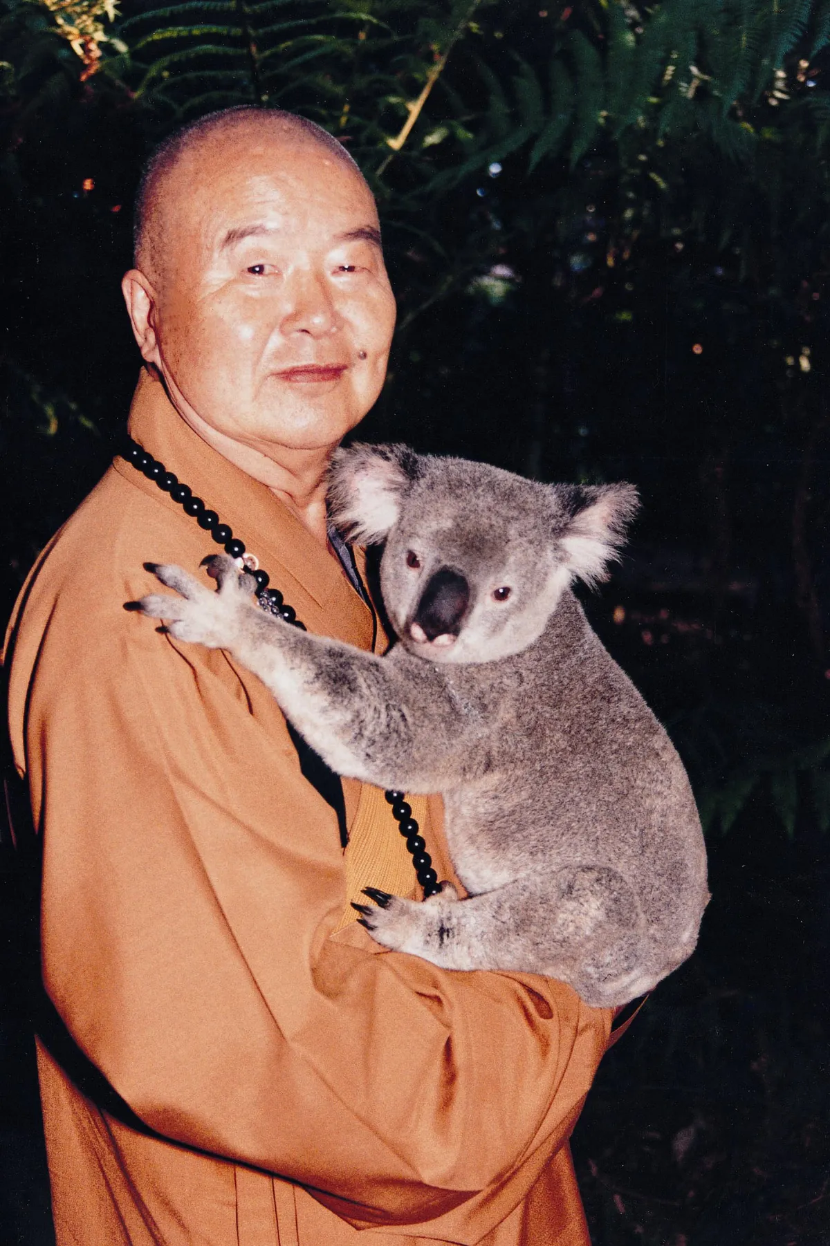 我的小小動物緣