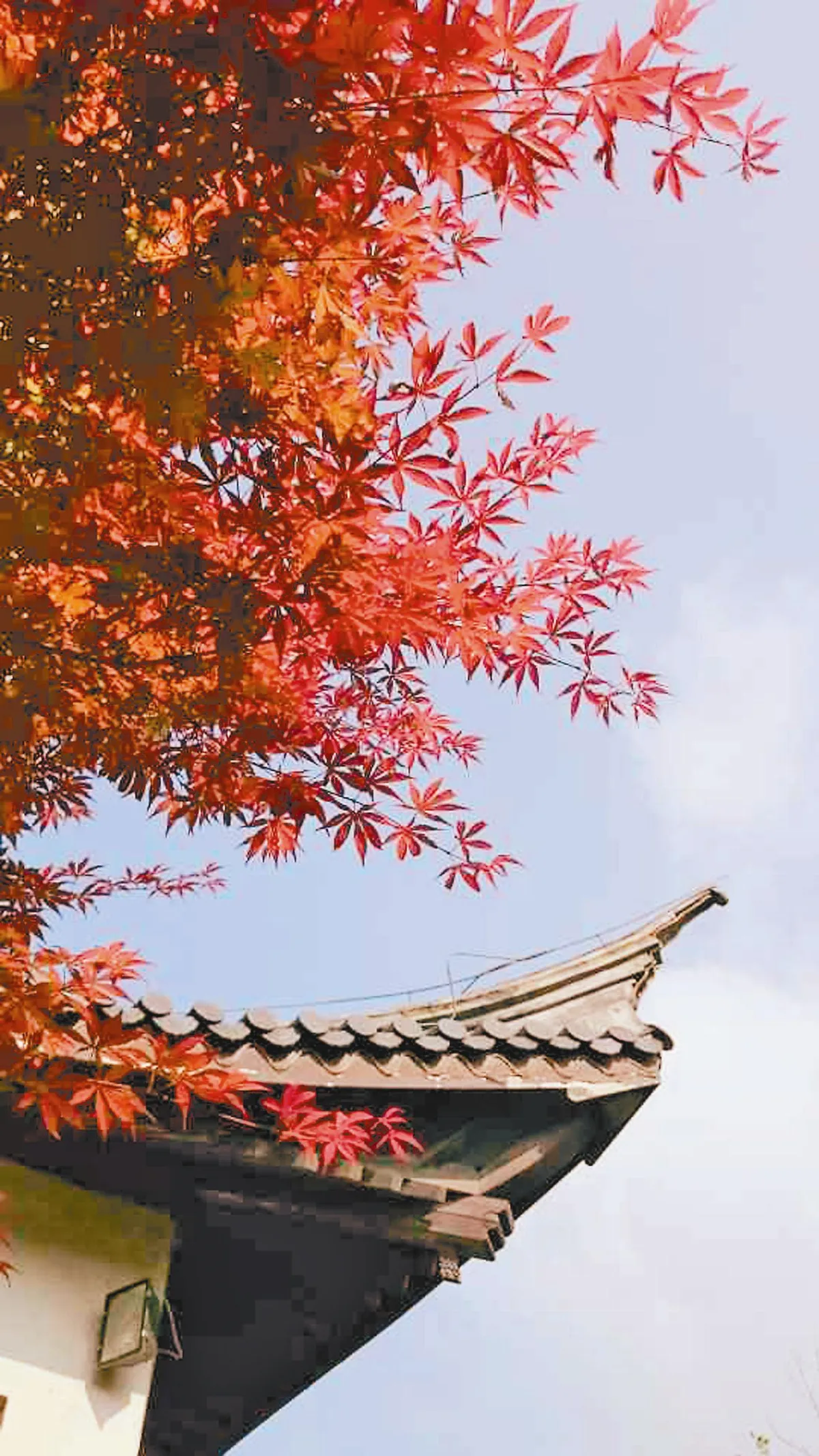 憨山大師 虔誦華嚴經 得福消背瘡