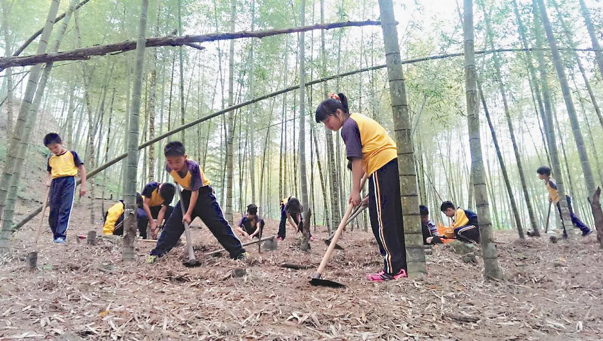 挖一斤筍 大鞍學童畢業門檻
