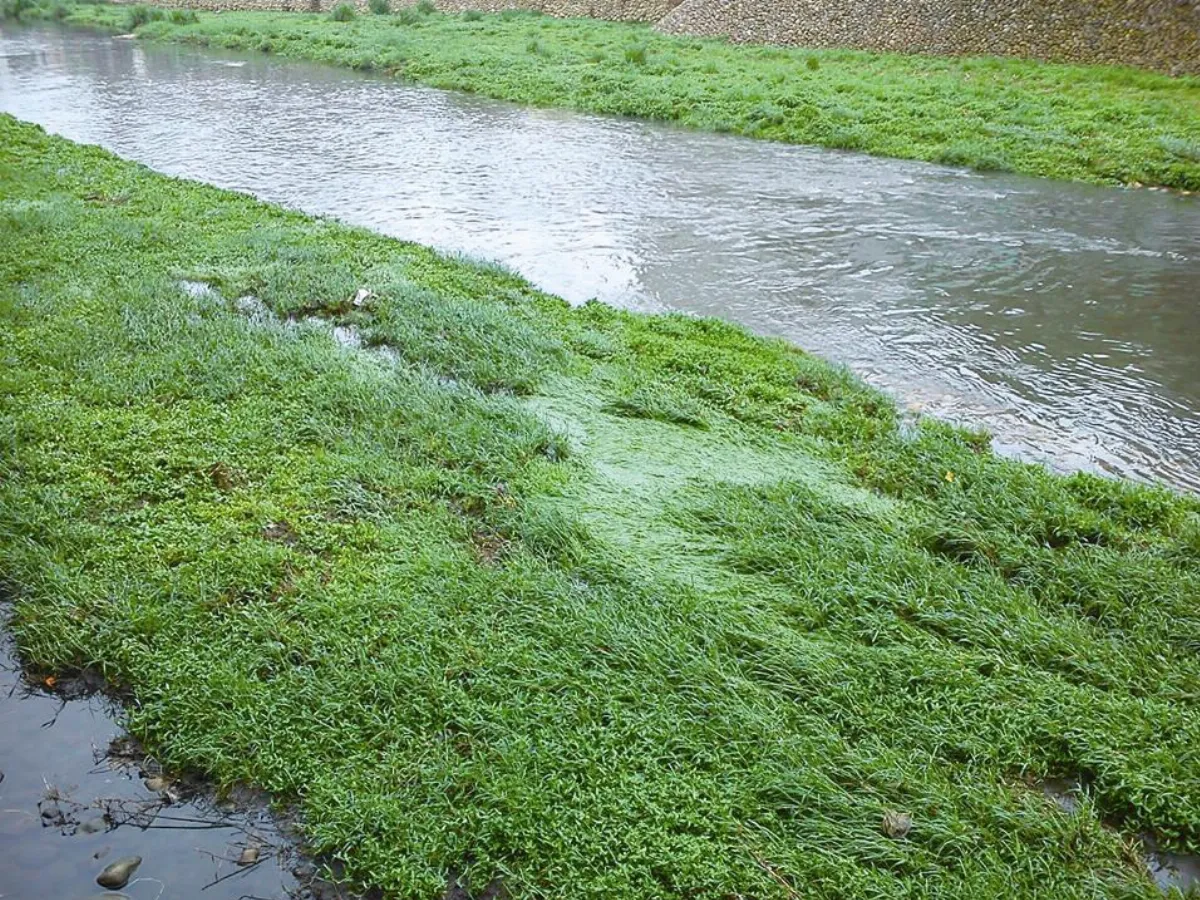 主婦小風景 老天爺的慈悲