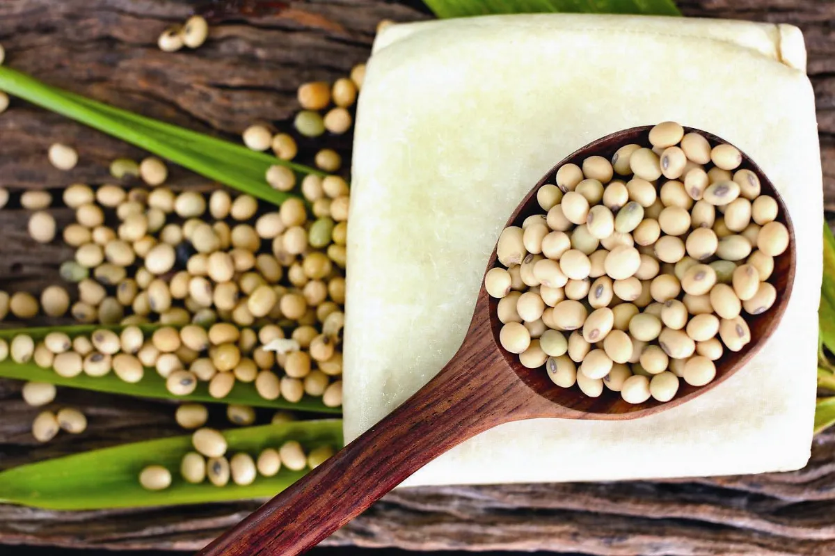 免疫、長壽 從一天一素做起