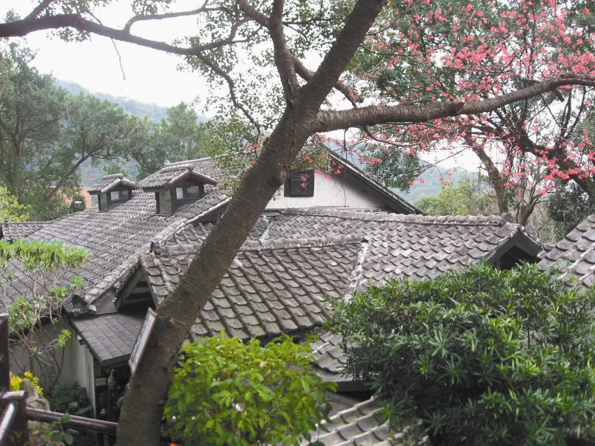 生活快門 屋頂也可以長眼睛