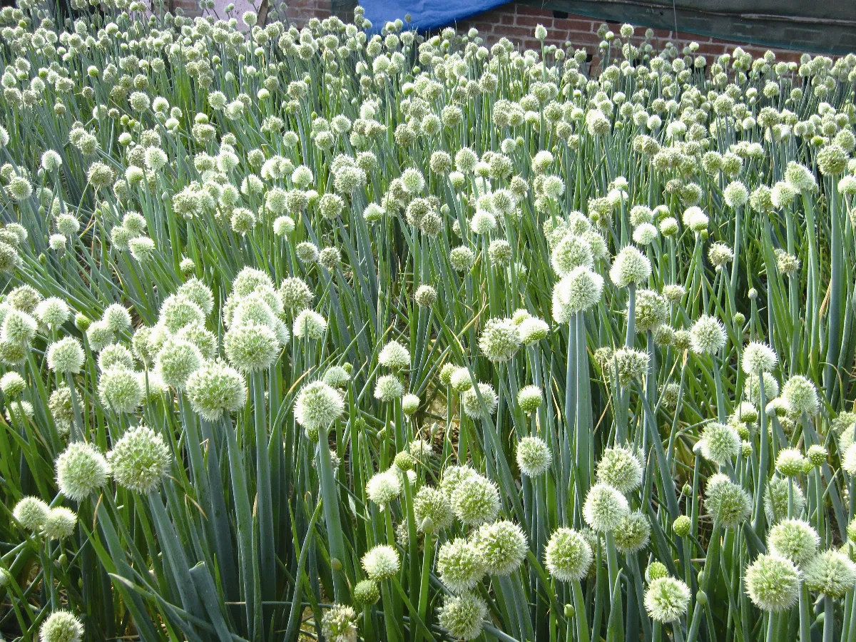 生活快門 祕密花園
