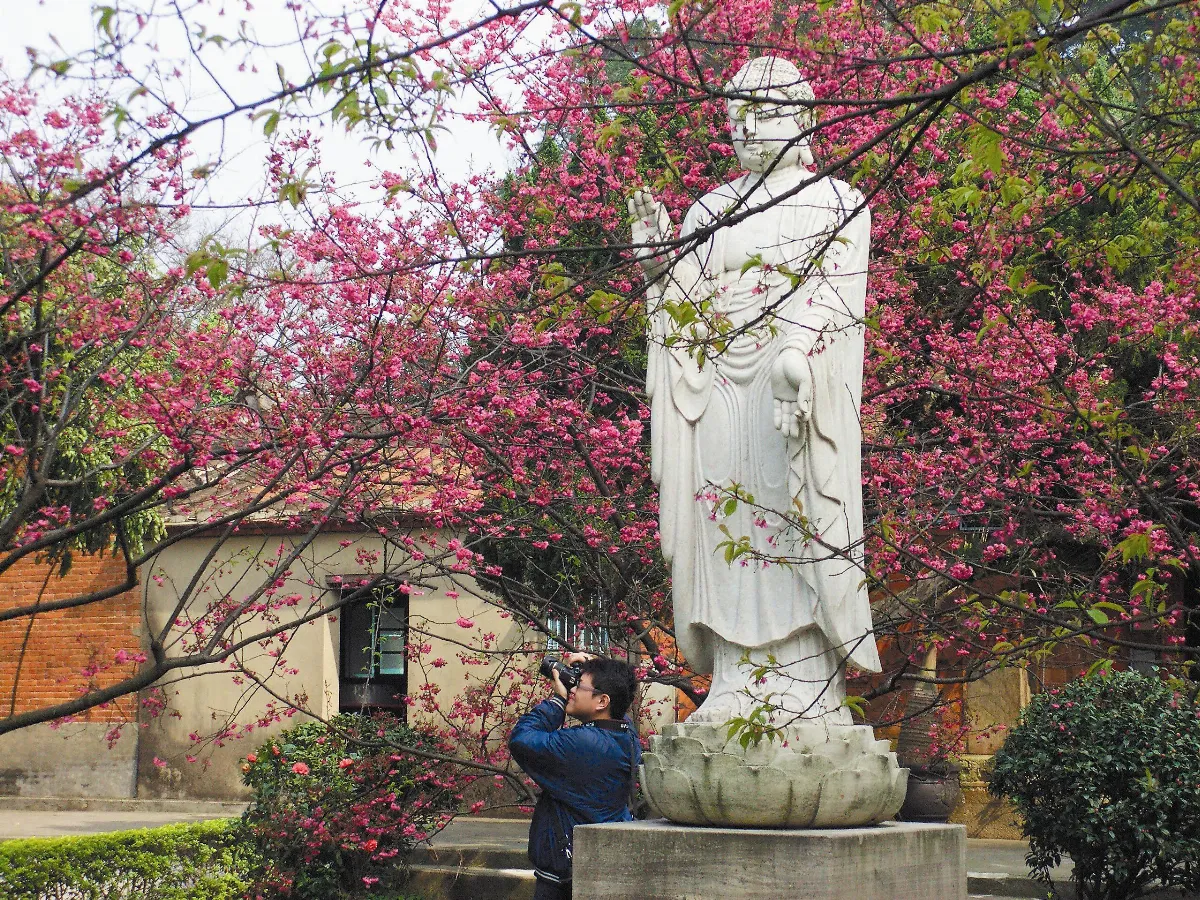 生活快門 參悟