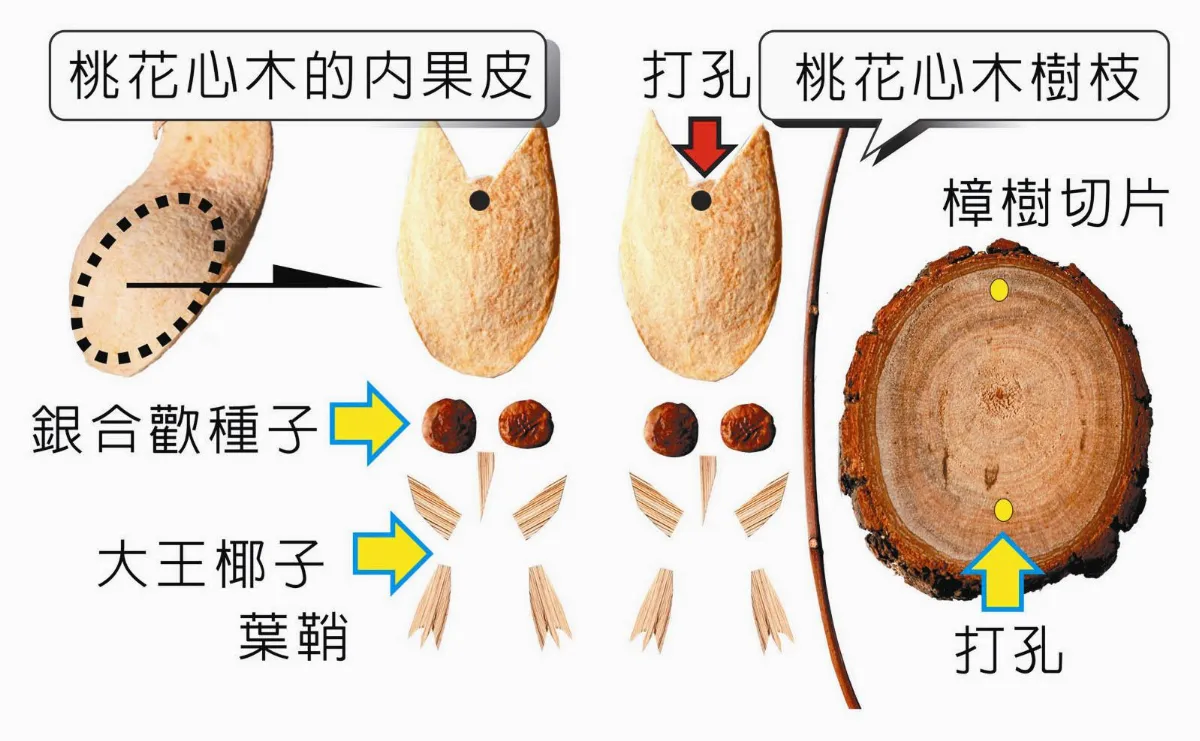 創作DIY 半空中的 貓頭鷹