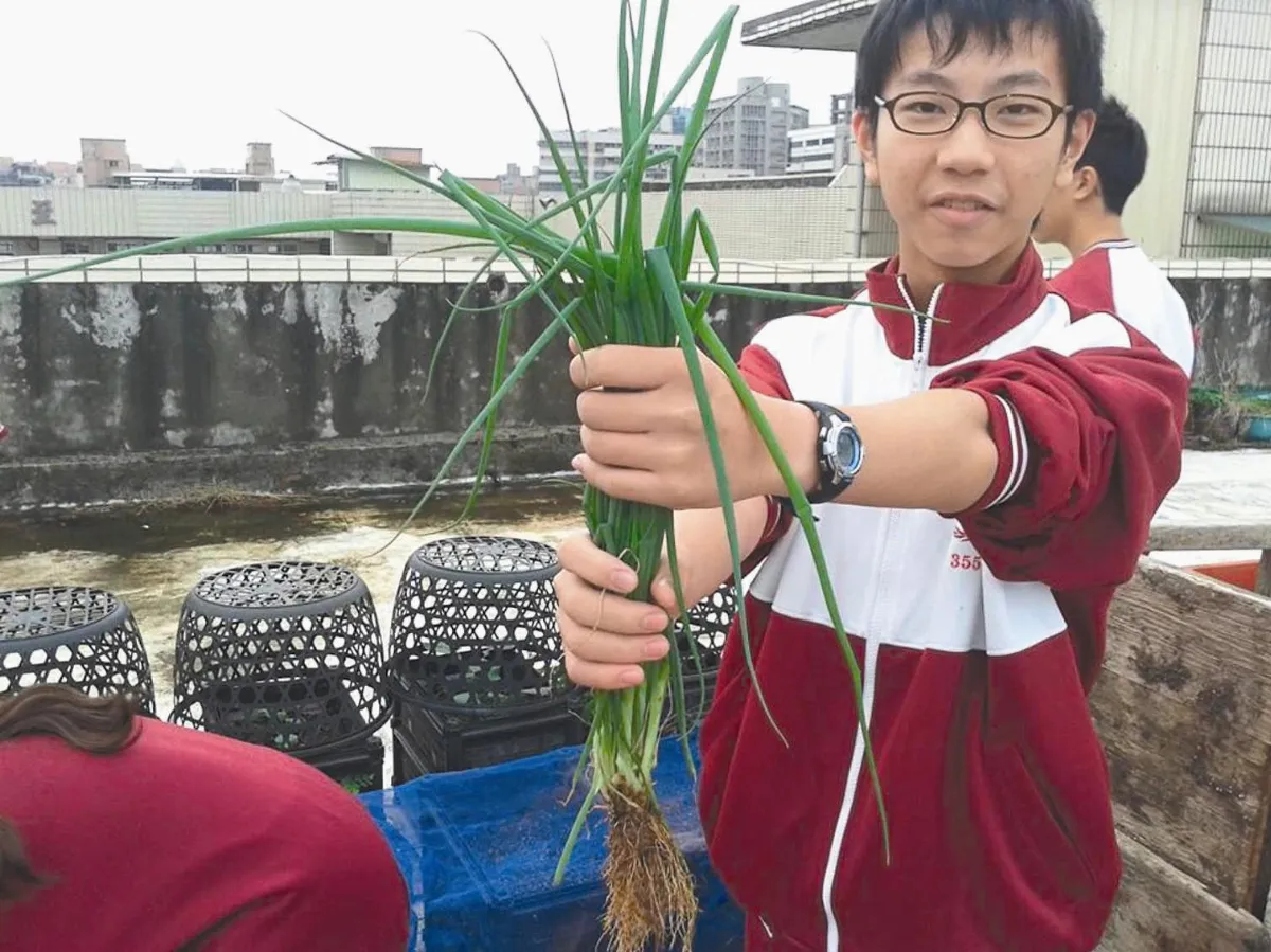 照拂蔬果 福營國中很幸福