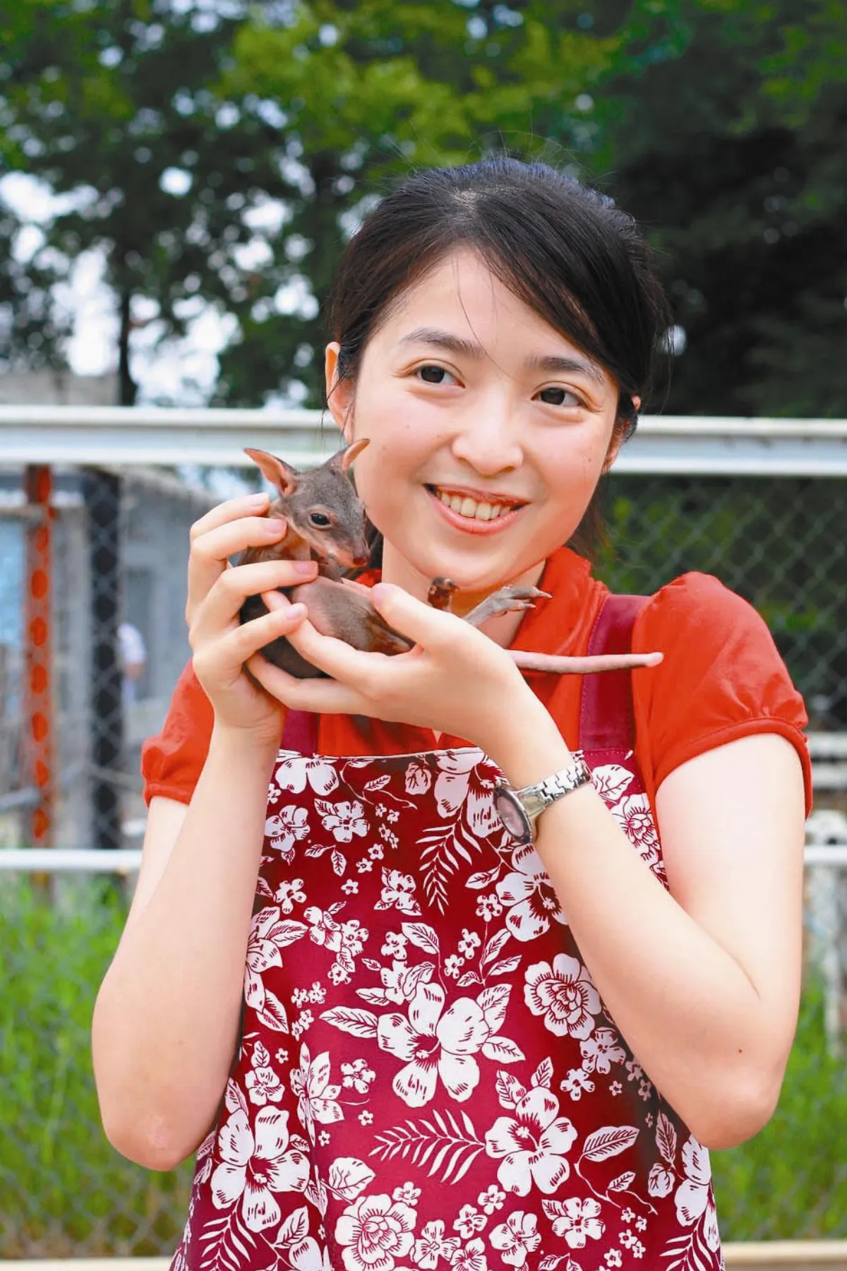 心動時刻  圍裙口袋 小袋鼠的新家