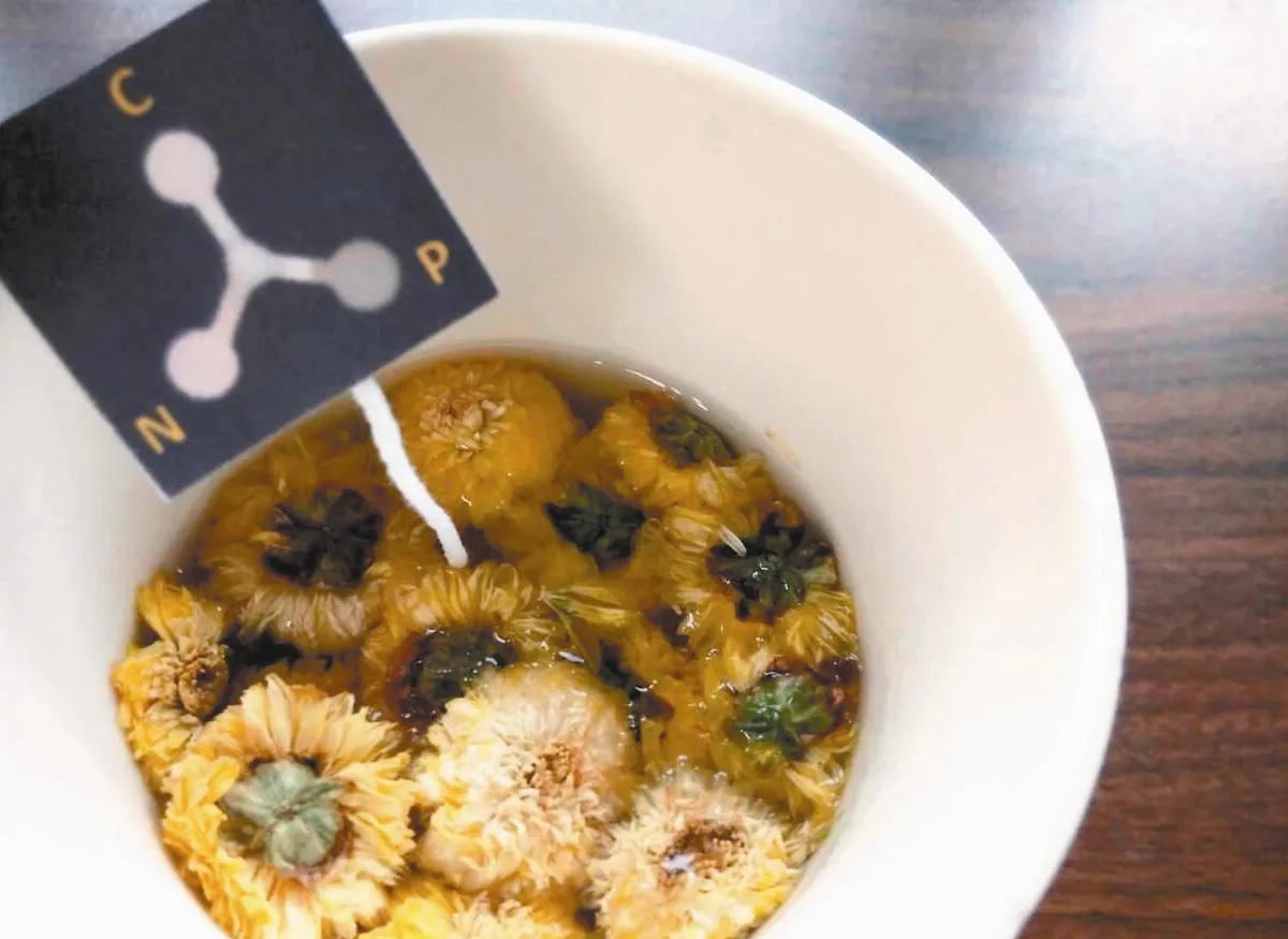 茶包標籤試片 食安自己把關