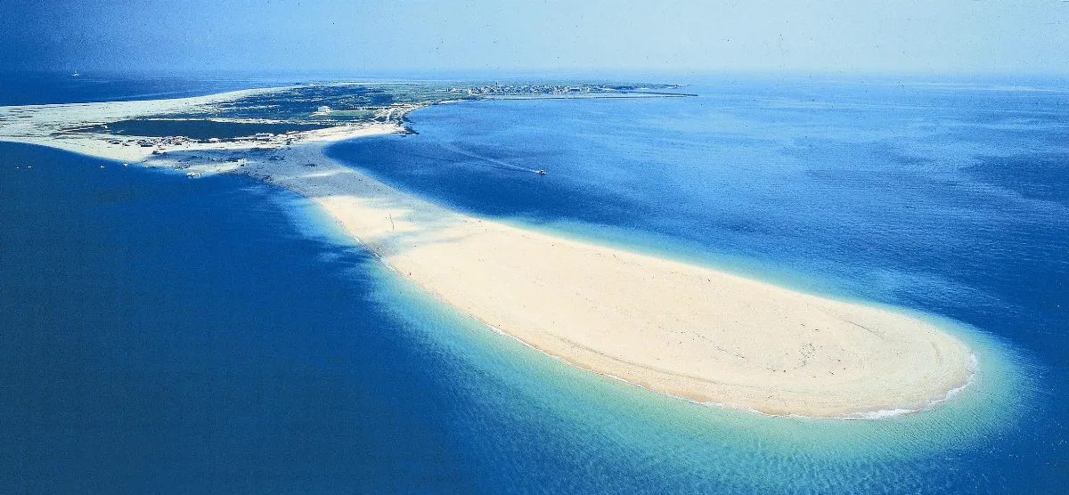 與病為友 以病為藥