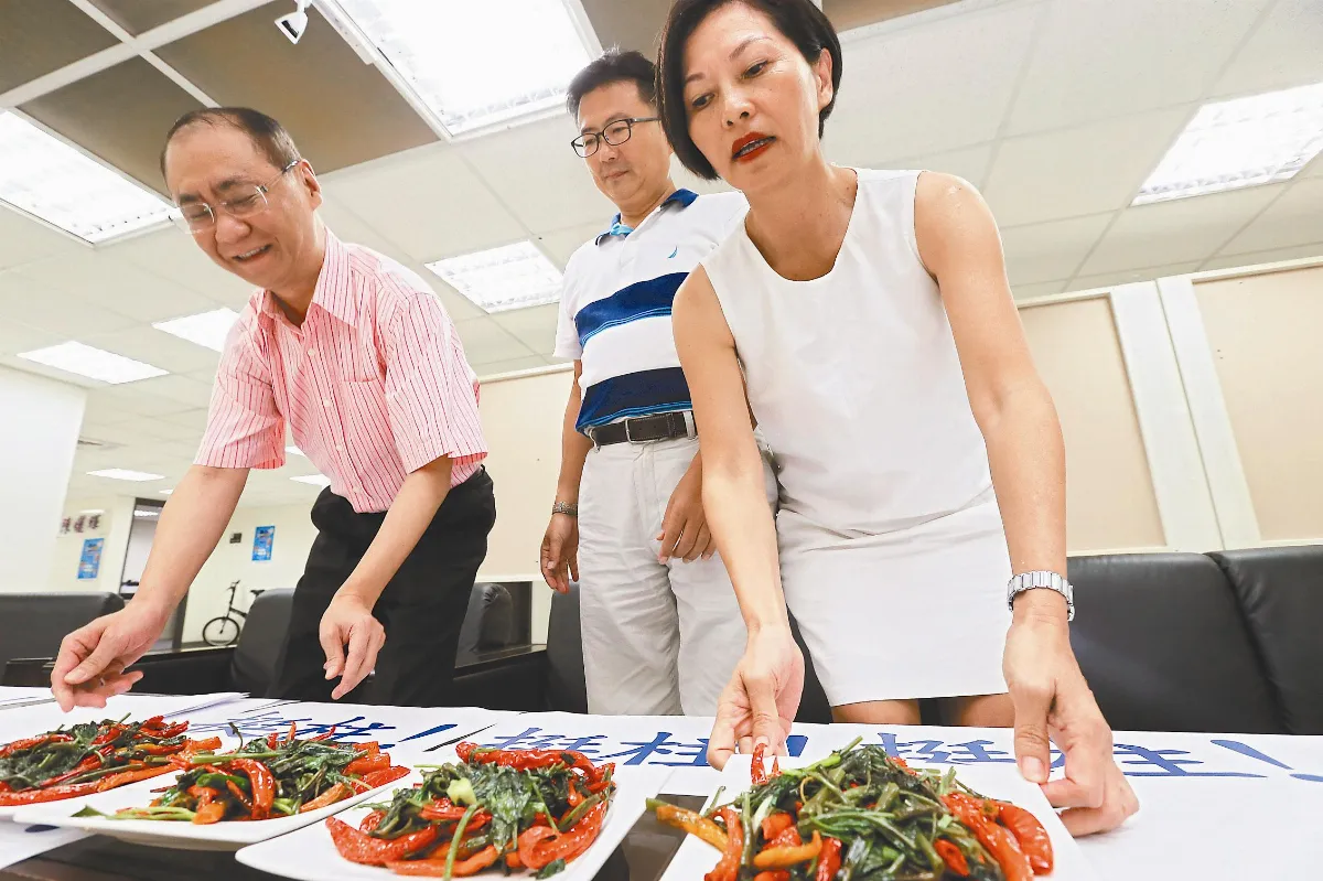 蔡英文洪秀柱 淑女交鋒