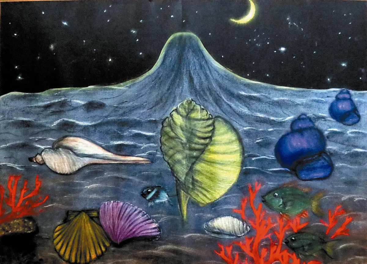 浮世畫框 海貝