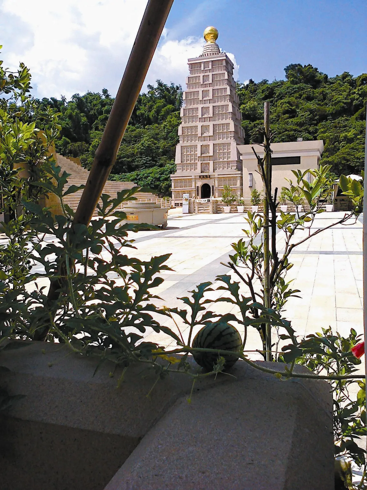 生活快門 隨緣共生
