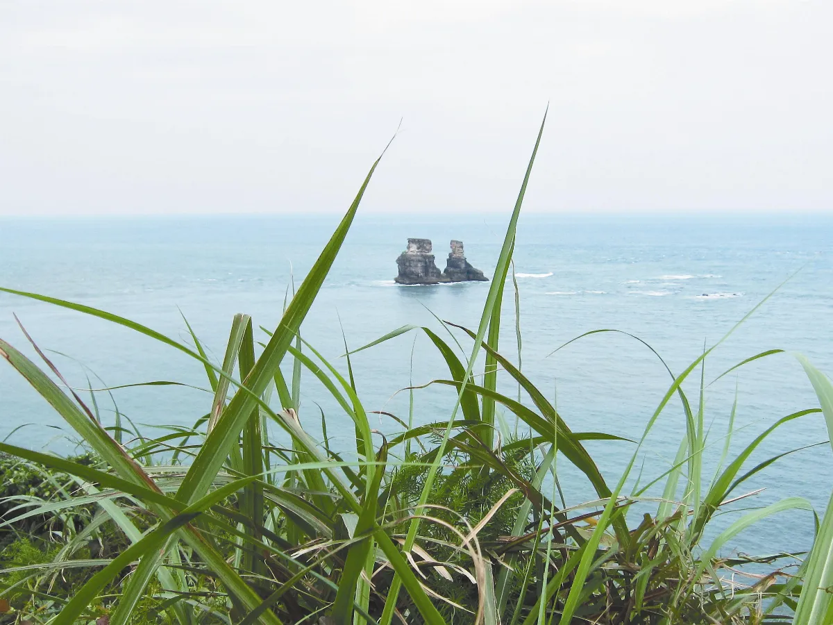 【心適人間】大海