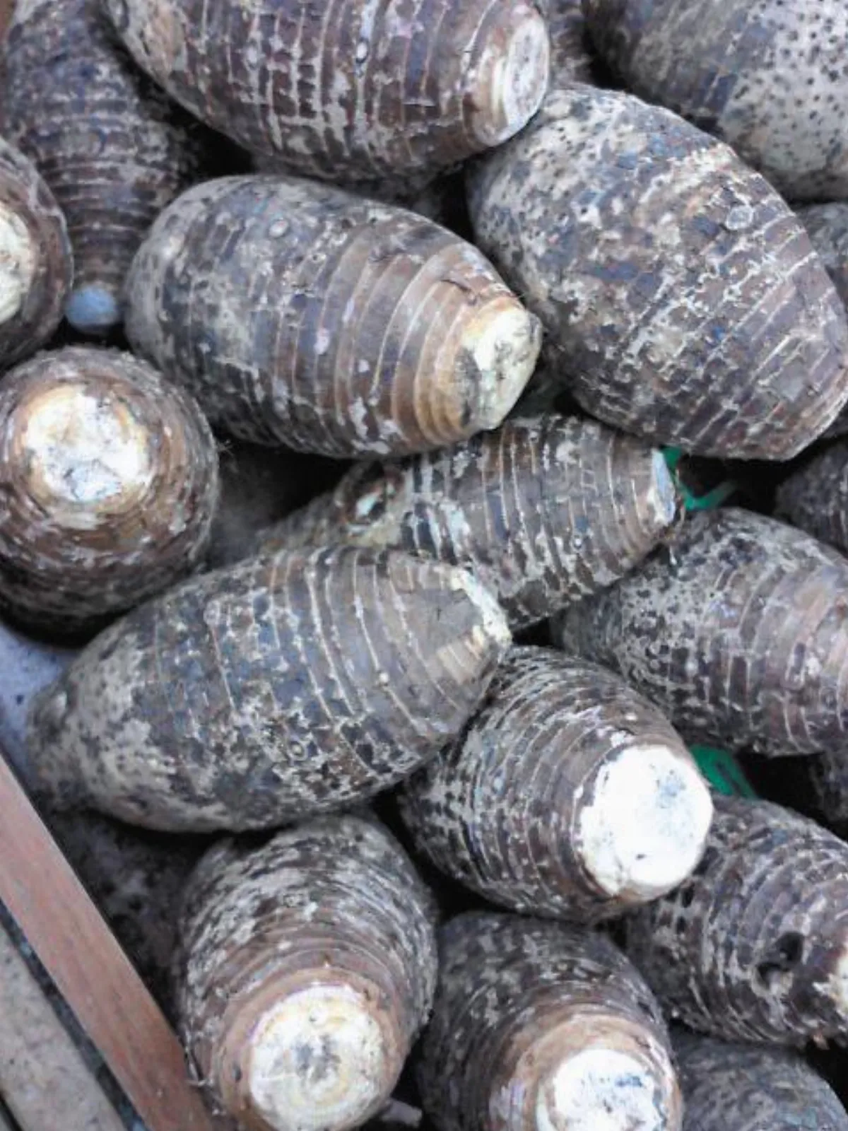 麻吉美味 芋頭粥