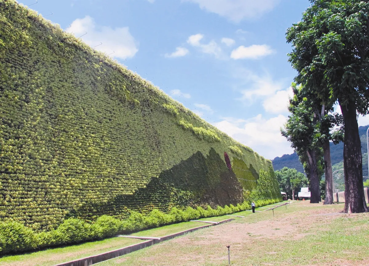 垃圾掩埋場築綠牆 登金氏紀錄