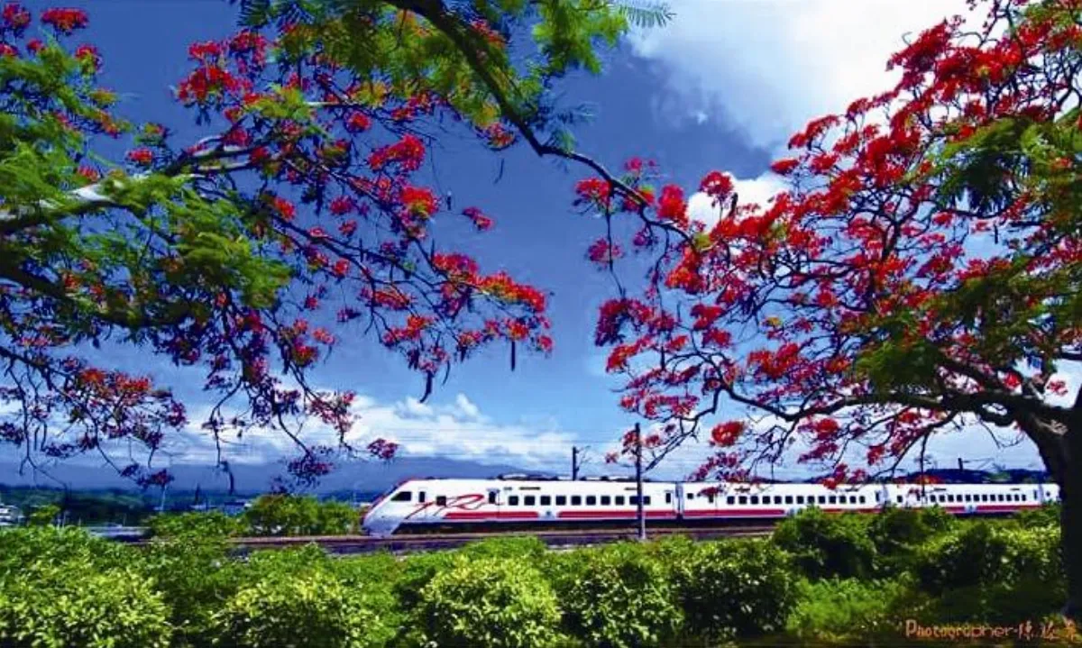 旅行快門 人生列車