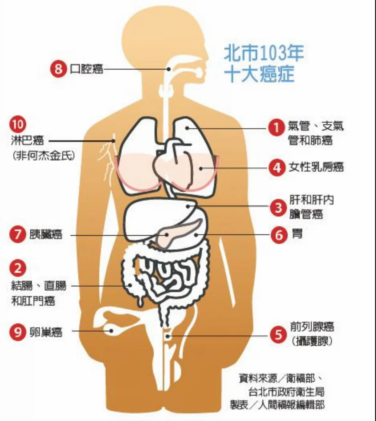 北市10大死因 癌症居首