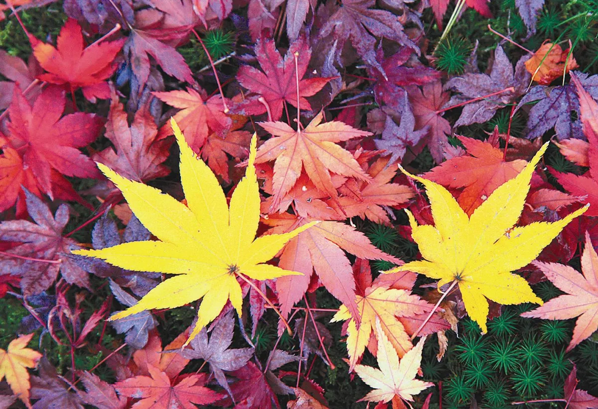 如何善用色彩？