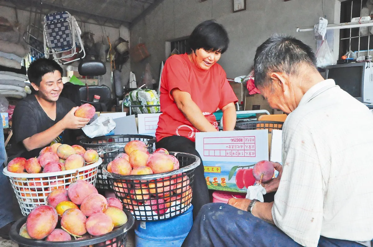 警察LINE團購 幫小兄弟賣芒果