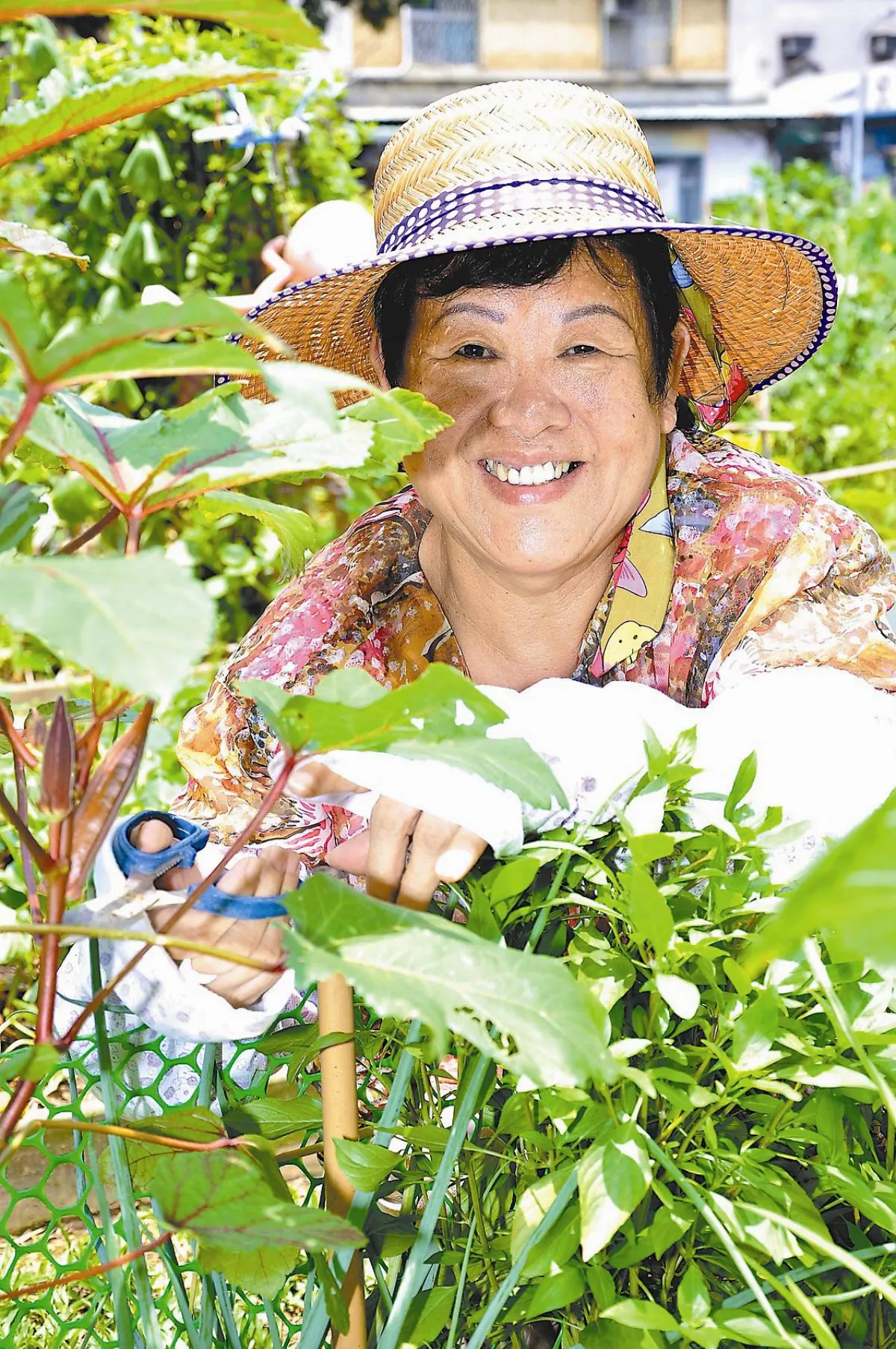 銀髮族減重，來種菜就對了！