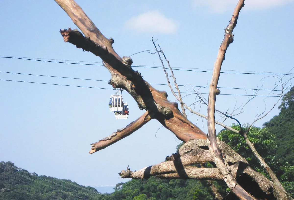 生活快門 自在的幸福