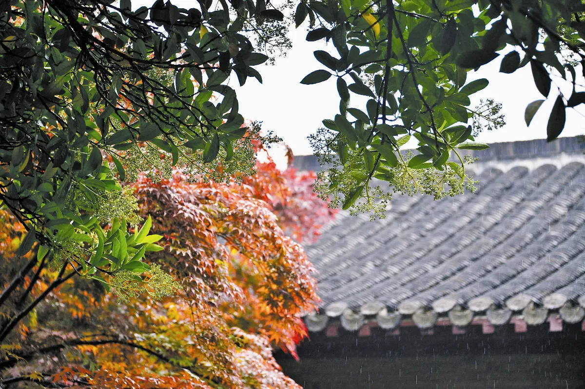 面對失去