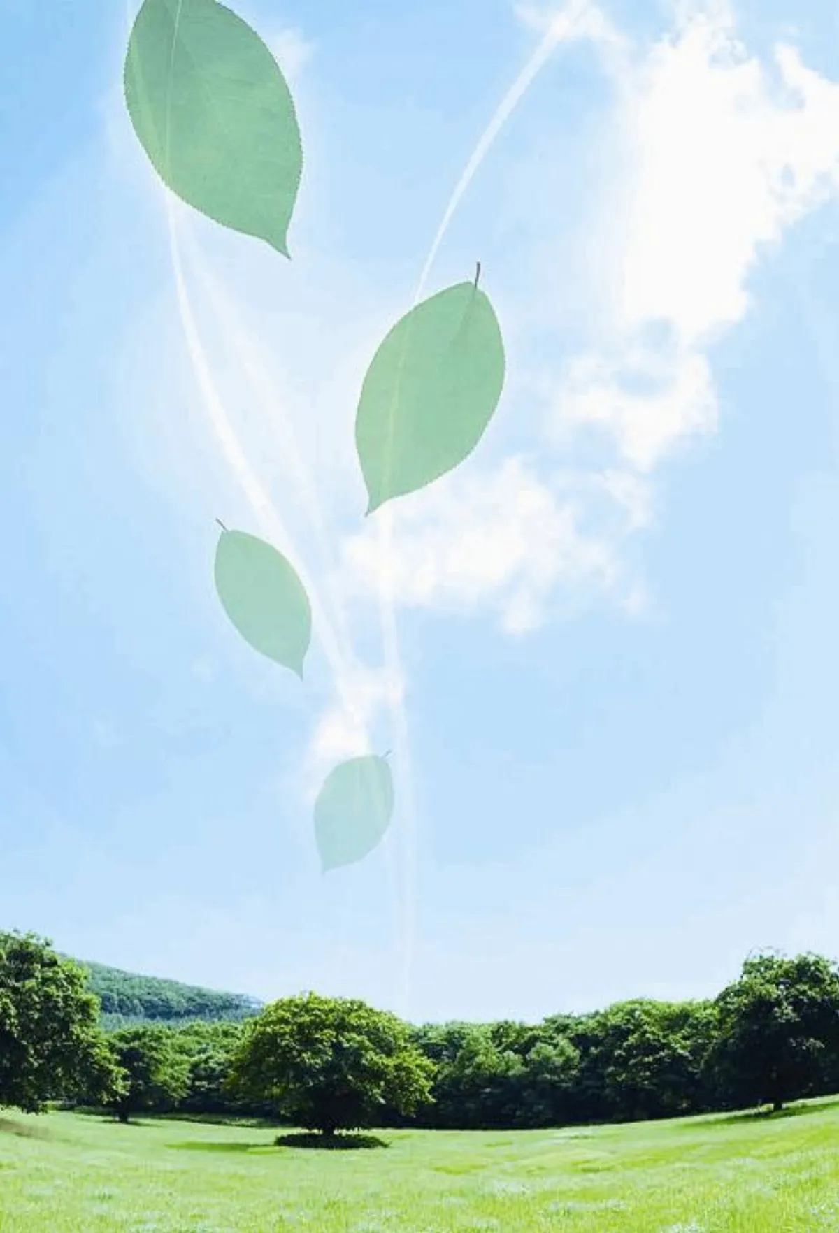 讓自己變瘦 祝福祈禱 是最佳減重心法