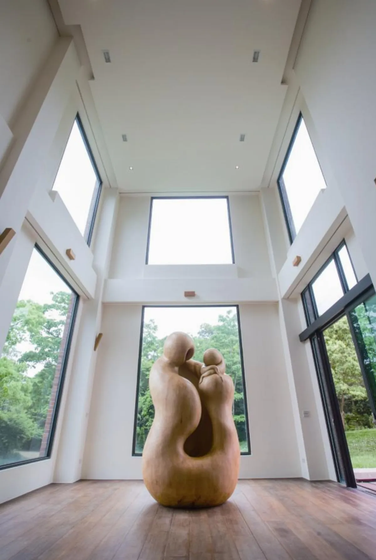 101電梯廢鋼纜 化身德新地標